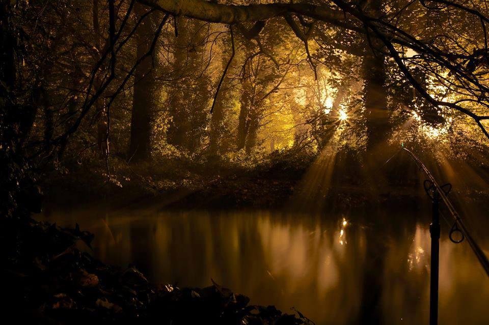 ::::::::LIKE:::::::: - 94446254469760556601259676998n.jpg